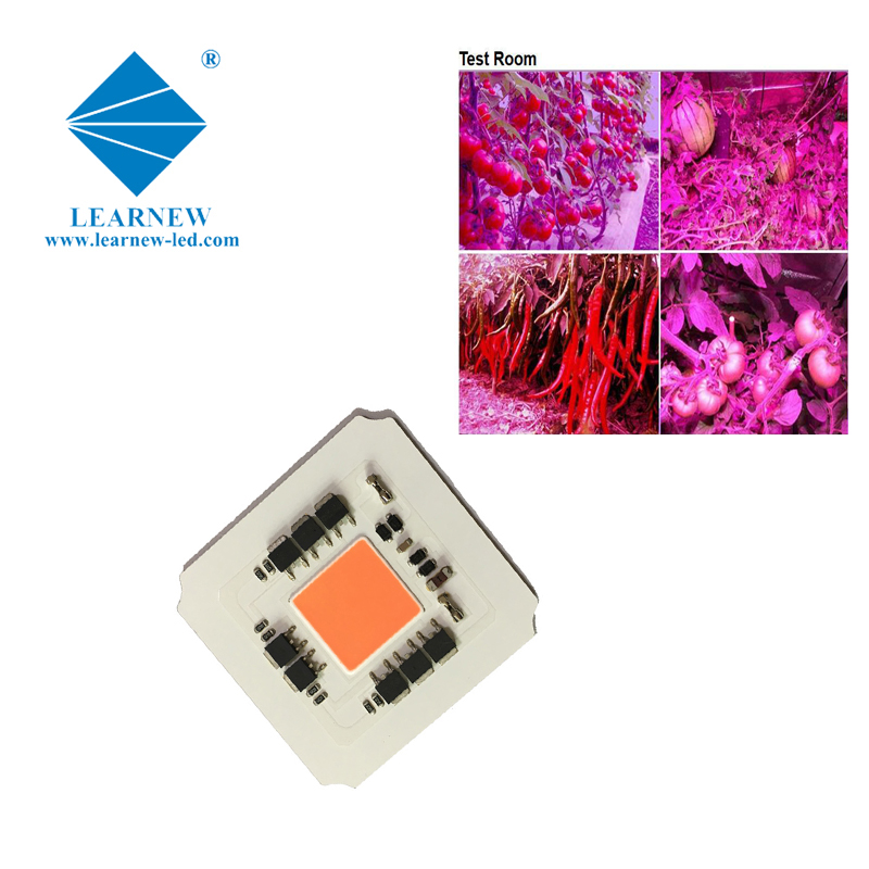 LEARNEW OEM ODM Kostenleistung geringer thermischer Widerstand 380-780 nm 100 W Grow-LED-Kolben für Grow-Lampe 4