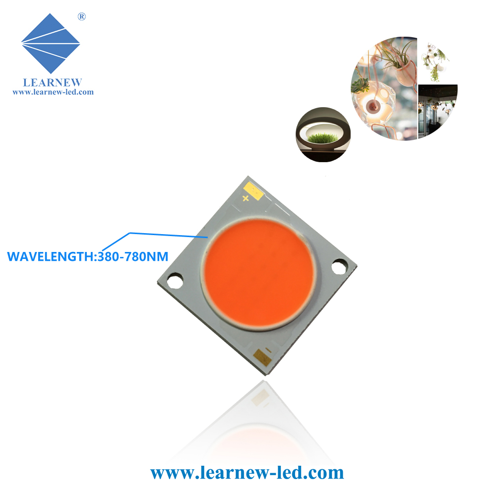 How to Go Through the Led Source Customization? - Learnew