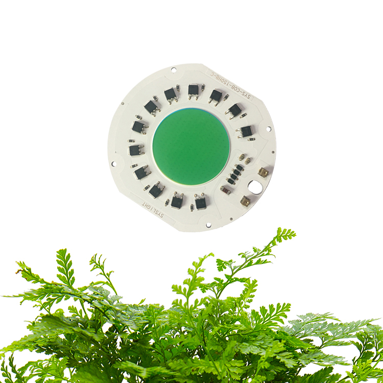 LEARNEW China-Lieferant Vollspektrum 380-780 nm 150 W fahrerloser AC220V-240VV Cob-LED-Wachstumslichtchip 4