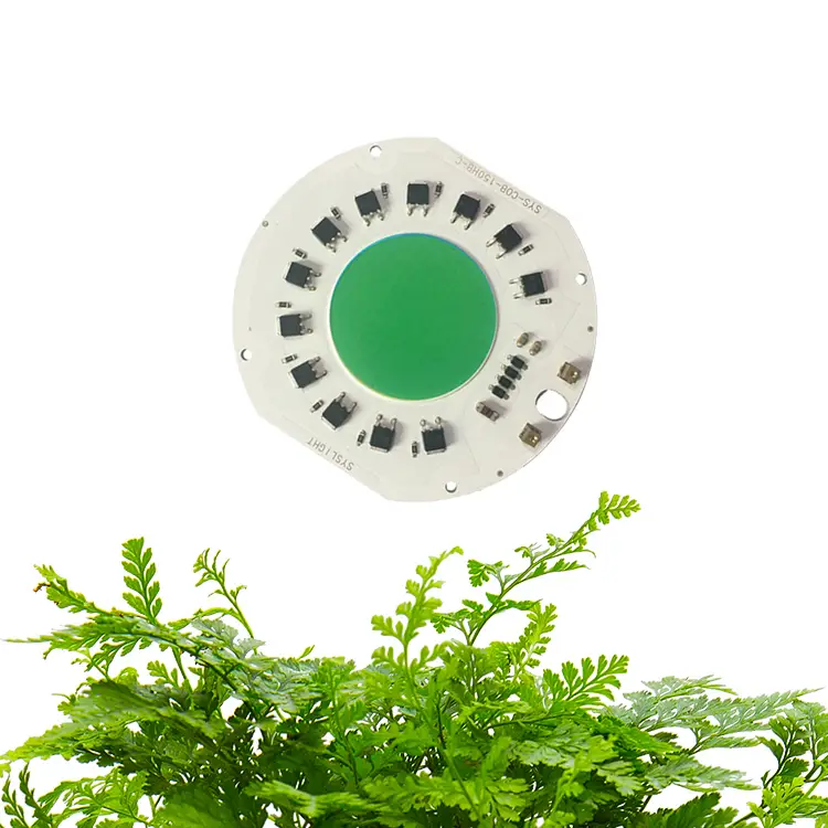 LEARNEW china supplier full spectrum 380-780nm 150W driverless ac220V-240VV cob led grow light chip 4
