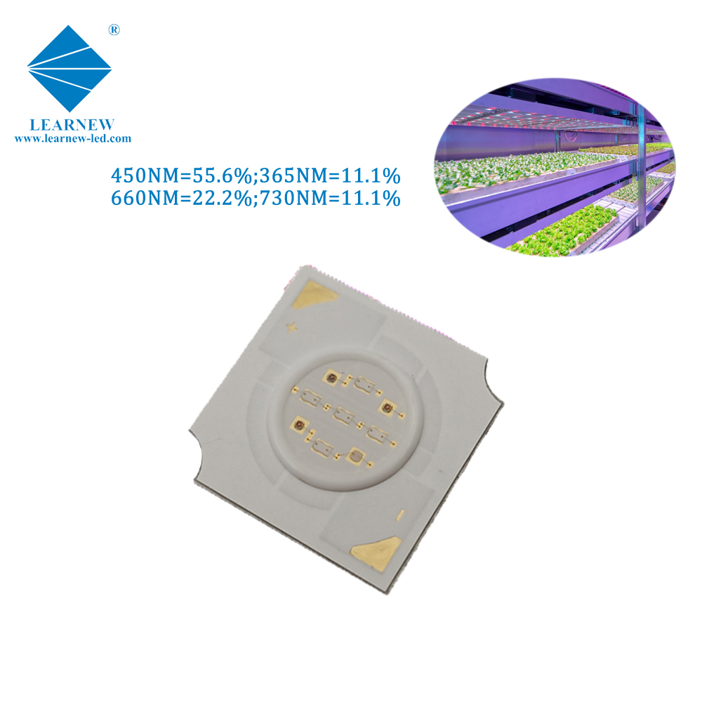Shenzhen benutzerdefinierte hocheffiziente 4 W 14 * 14 mm LED-Anlage wachsen Licht Cob Chip 5