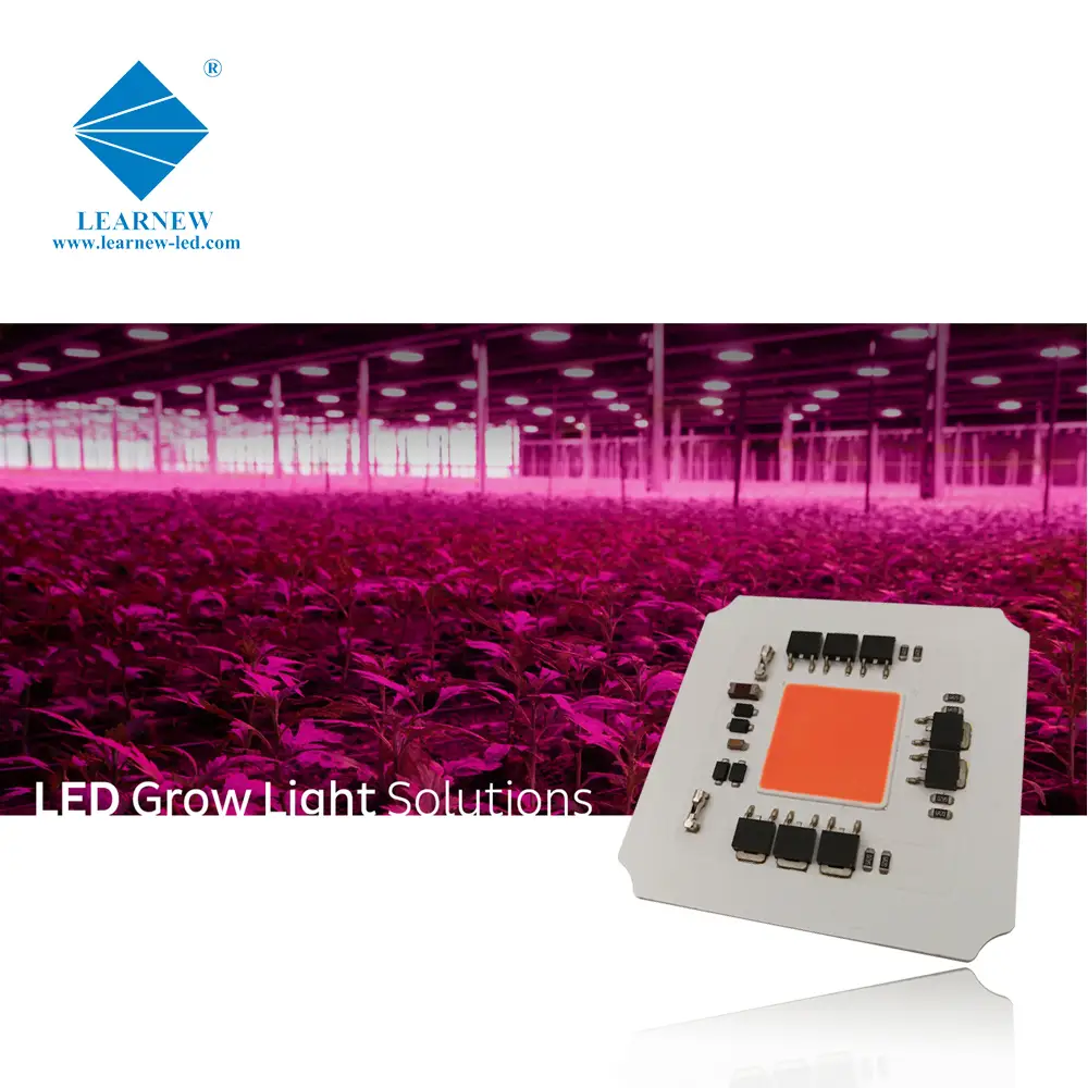 LEARNEW OEM ODM 100W high quality customized COB Chip lighting 7070 AC LED COB for Grow led light 1
