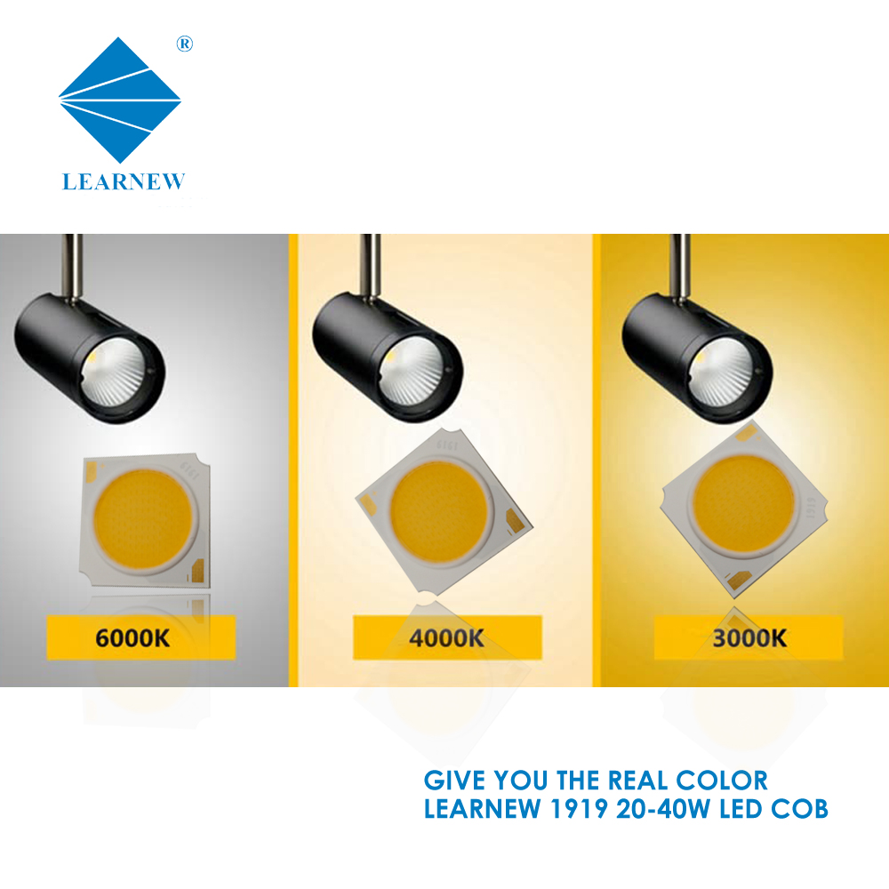 Neue Produktanpassung 1919 SERIE COB LED 25W 35W 50W 2700-6500K 120-140LM/W für LED-Strahler 4