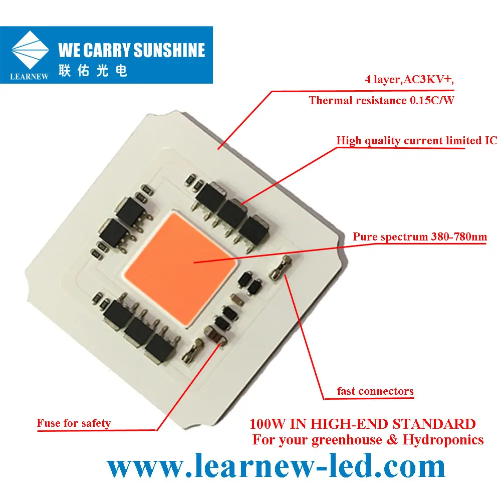 Learnew Array image342