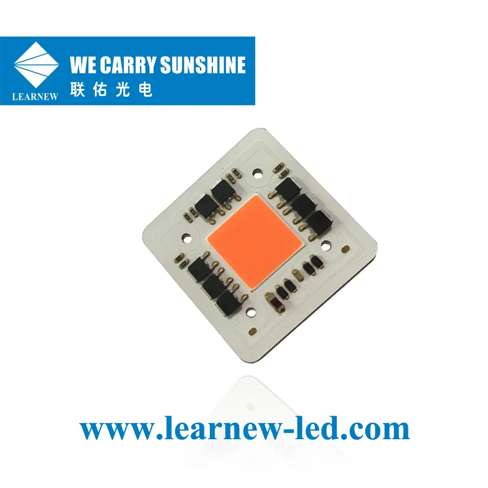 Learnew Array image417