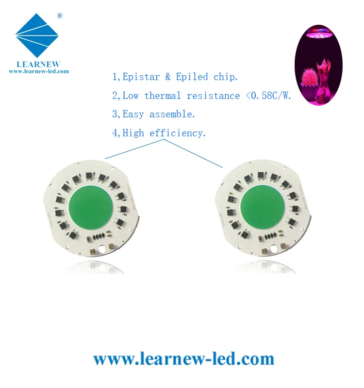 Learnew Array image18
