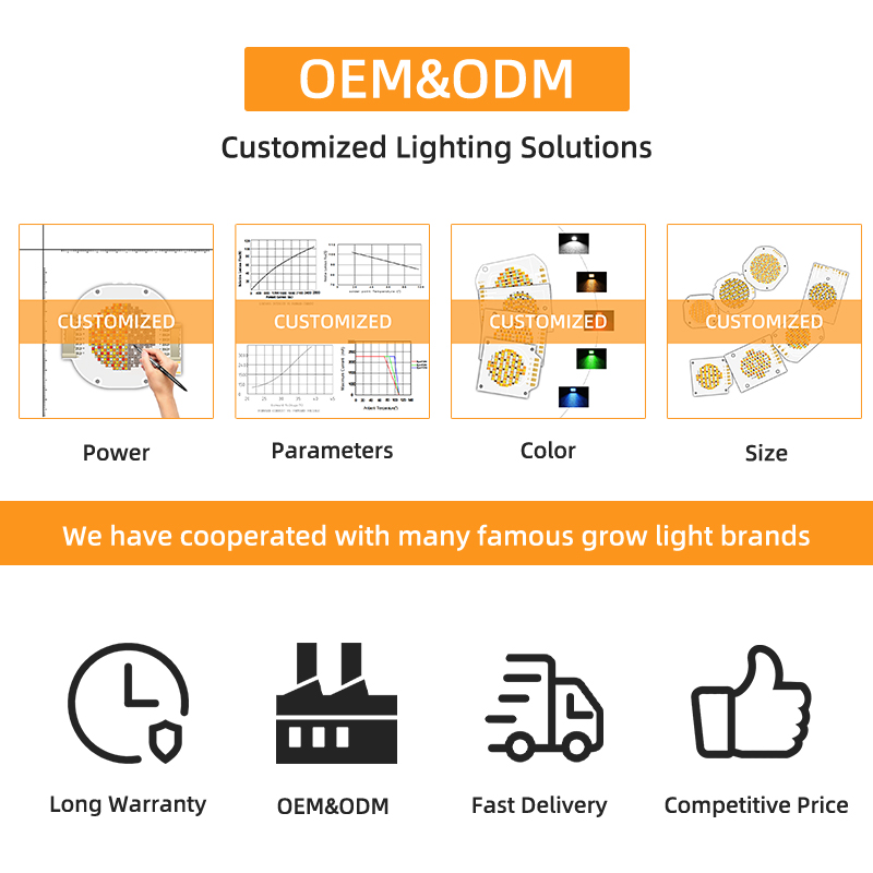 OEM ODM wavelength BI Color 205V smd led chip Warm white + white 6060 SMD LED chips Emitting 7