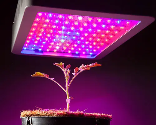 Hot quality 220v cob led light Learnew Brand 7