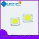 cheap 100w led cob chip floodlight led 1