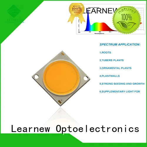 Learnew grow led inquire now for promotion 1