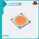 quality led cob grow lights factory for sale 1