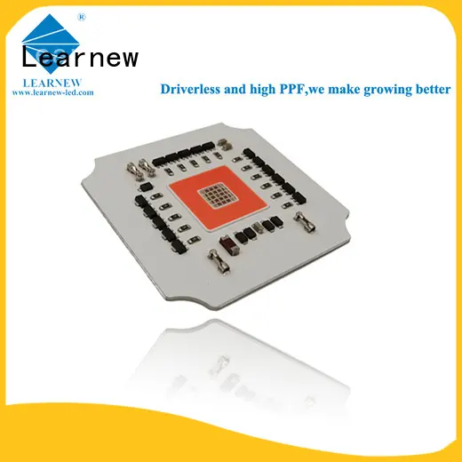 Learnew worldwide grow led chip manufacturer bulk buy 1