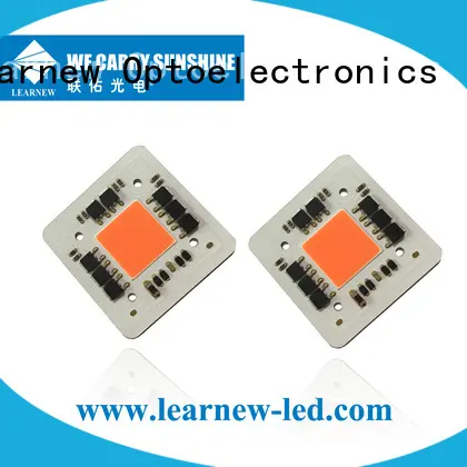 Learnew latest cob grow light kit supplier bulk production 1