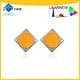 hot-sale led cob grow lights factory bulk buy 1