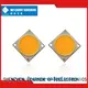 Learnew led cob grow lights suppliers for promotion 1