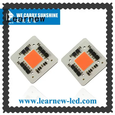 Learnew hot-sale grow led chip factory direct supply bulk buy 1