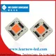 Learnew grow led chip best manufacturer for car light 1