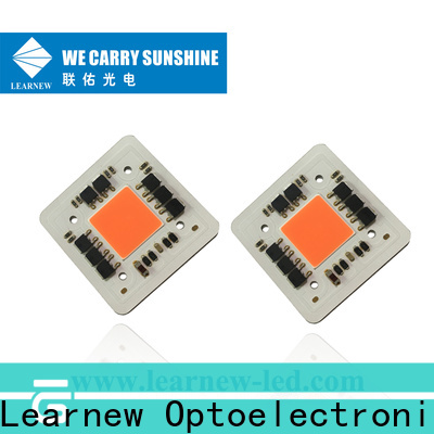 Learnew top quality led cob grow lights best supplier bulk production 1