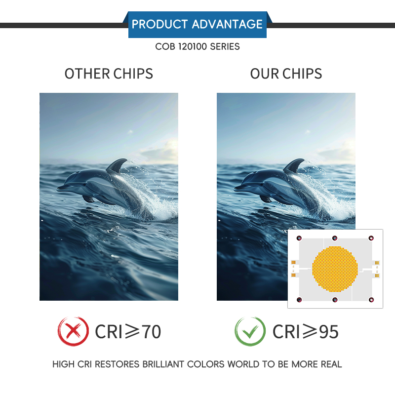 High Power 1200W CRI>95 6500K Copper Board Good Heat Dissipation Led Cob Chip Used in Photography Light/ Video Light 10