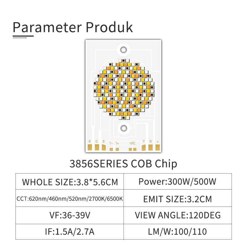 Dimmbare COB -LED -Chip Special für Fotografie -Lampen 3856 300W 500W 2700K 3000K 4000K 5000K 6000K 6500K 36V 39VOEM/ODM 3