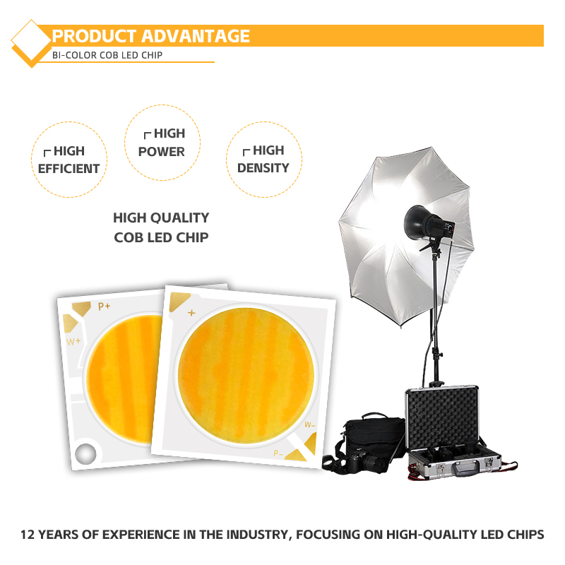 2424 2828 Series COB LED Chip 40W-50W High CRI 80-98 for Commercial Lighting 6