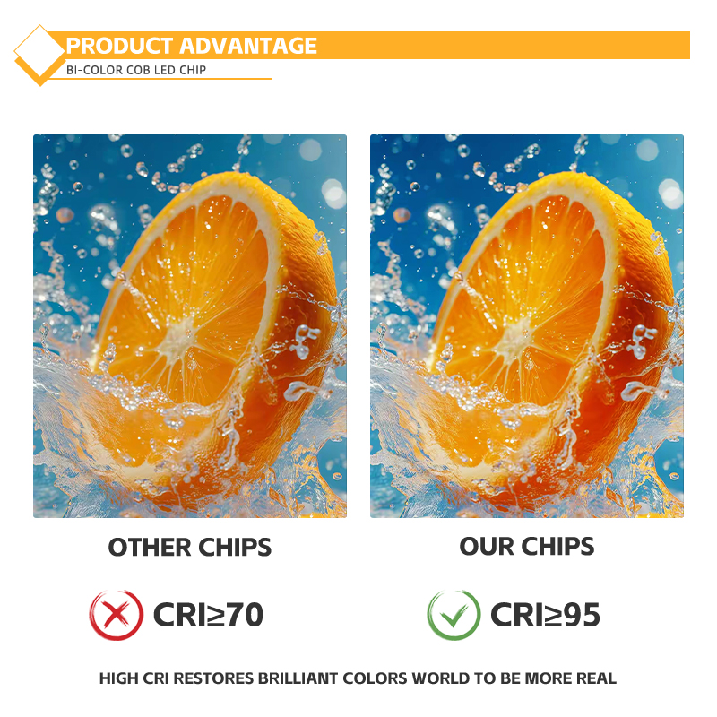 2828 Plate COB LED Double Color Temperature 50W+50W Luminous Surface ...
