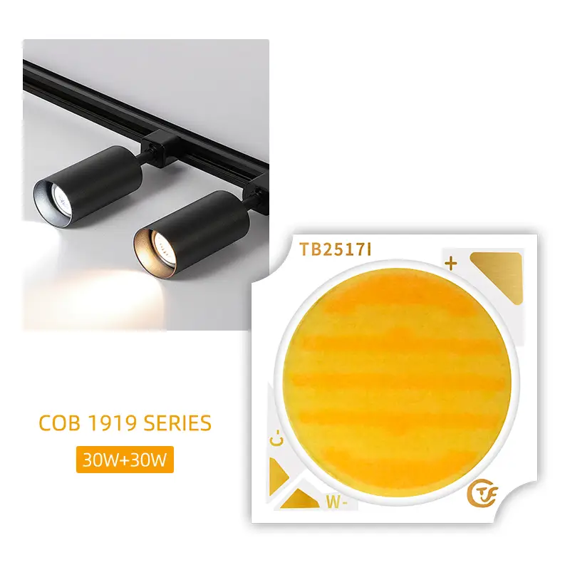 1919 Bicolor Smd 12v Bi Color Smd Led Chip 24w 1