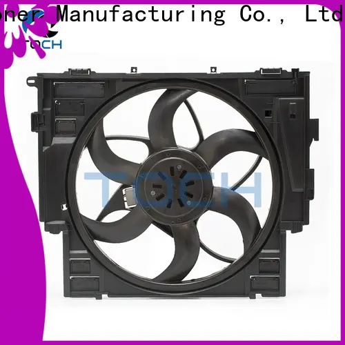 TOCH good bmw radiator fan motor factory for engine 1