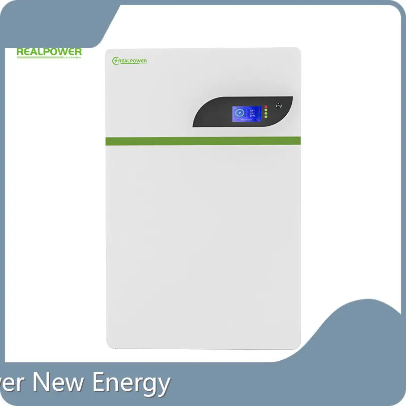 For Business Custom Lithium by RealPower New Energy 1