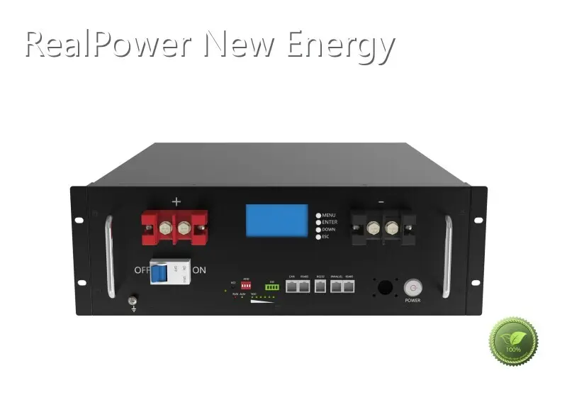 For Business Rack Battery by RealPower New Energy 1