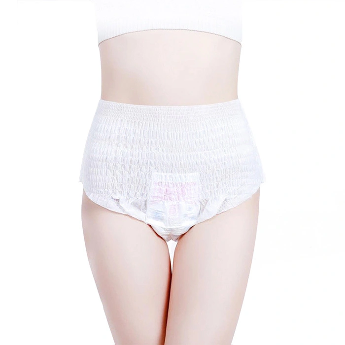 Custom Night Women Sanitary Napkin Pants Wholesale 1