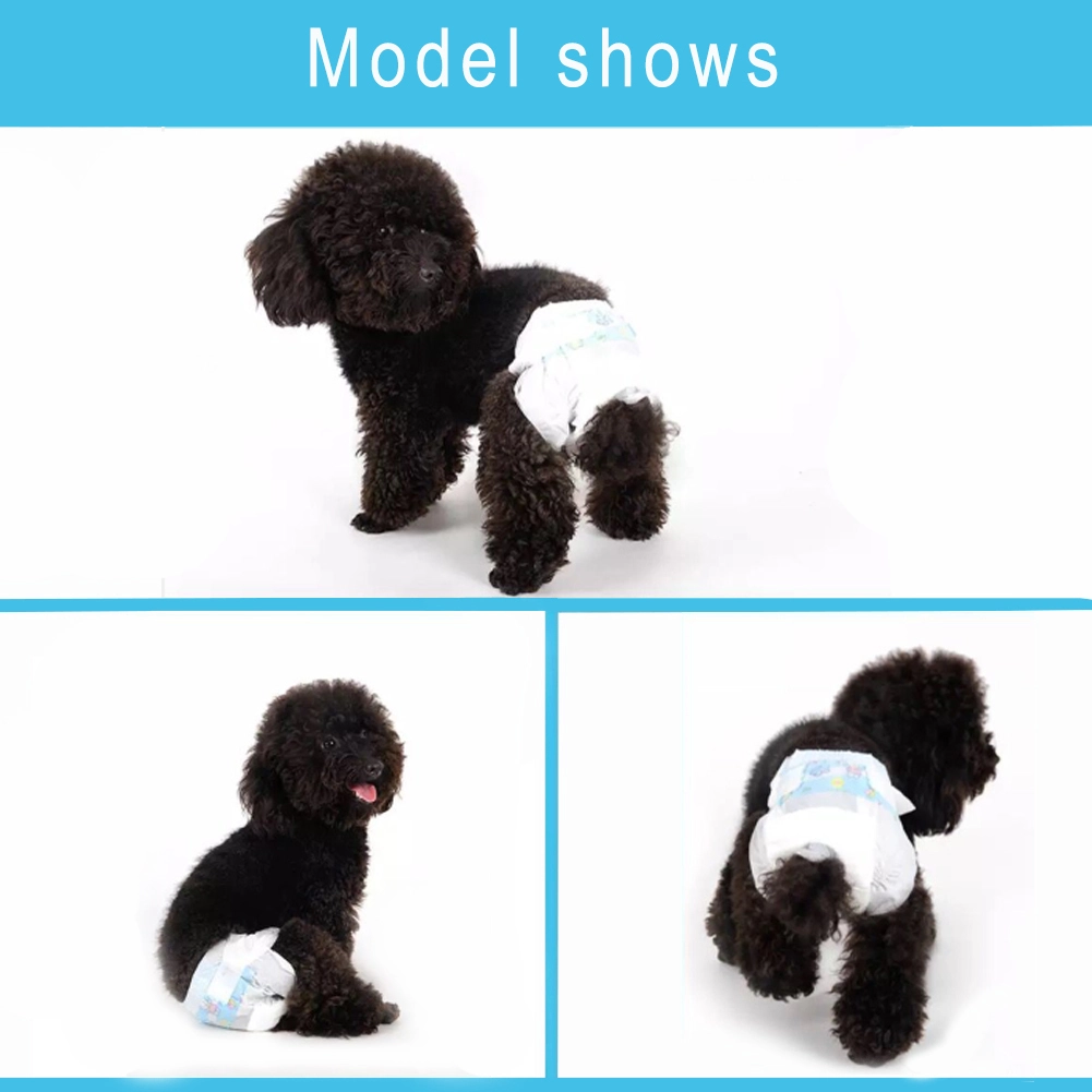 V-Care wholesale disposable pet diapers manufacturers for pets 6