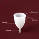 latest period menstrual cup suppliers for women 6