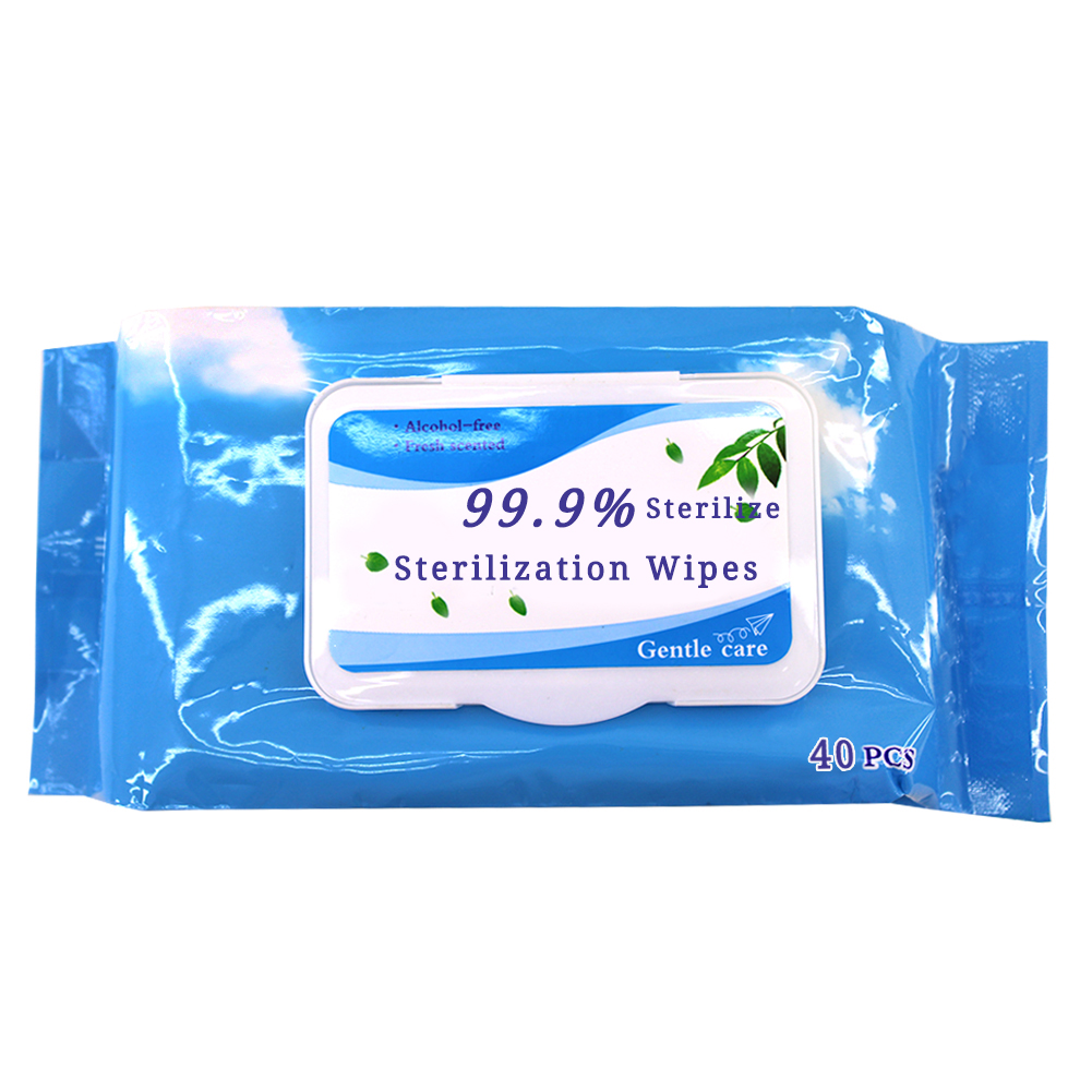 40 Pieces Antibacterial Sanitizer Hand Wipes 75% Alcohol Disinfectant Wet Wipes 2
