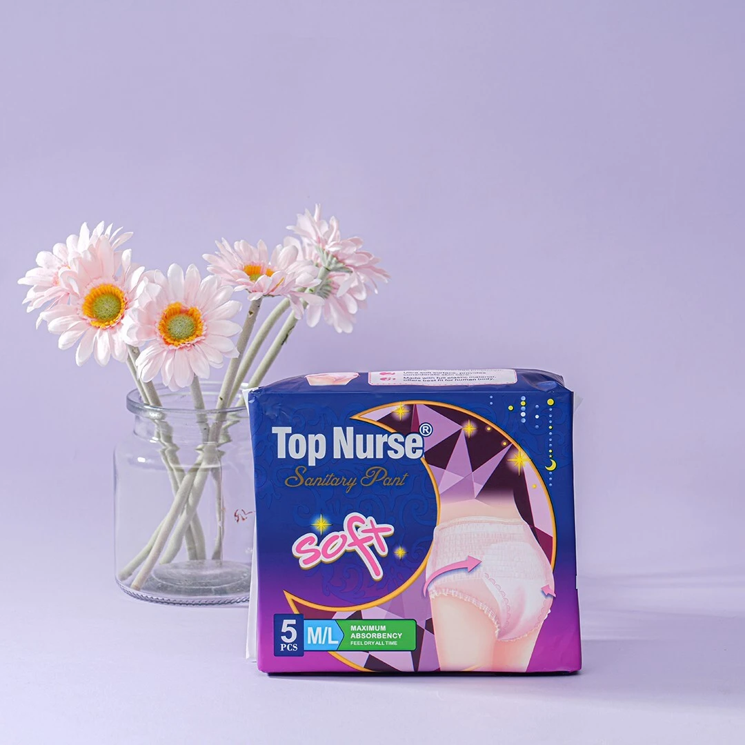 Disposable Menstrual Regular Panties 1