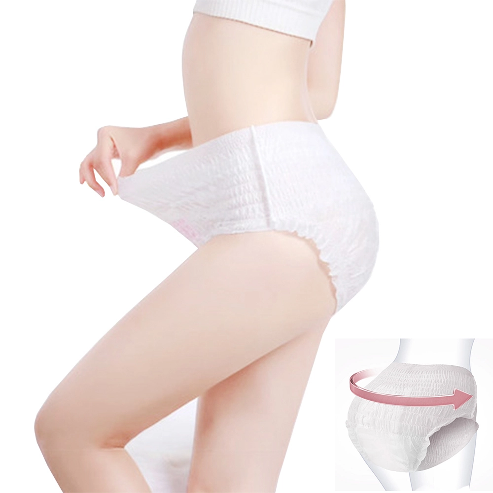 Disposable Sanitary Pad In Panty, Menstrual Period Panties 1