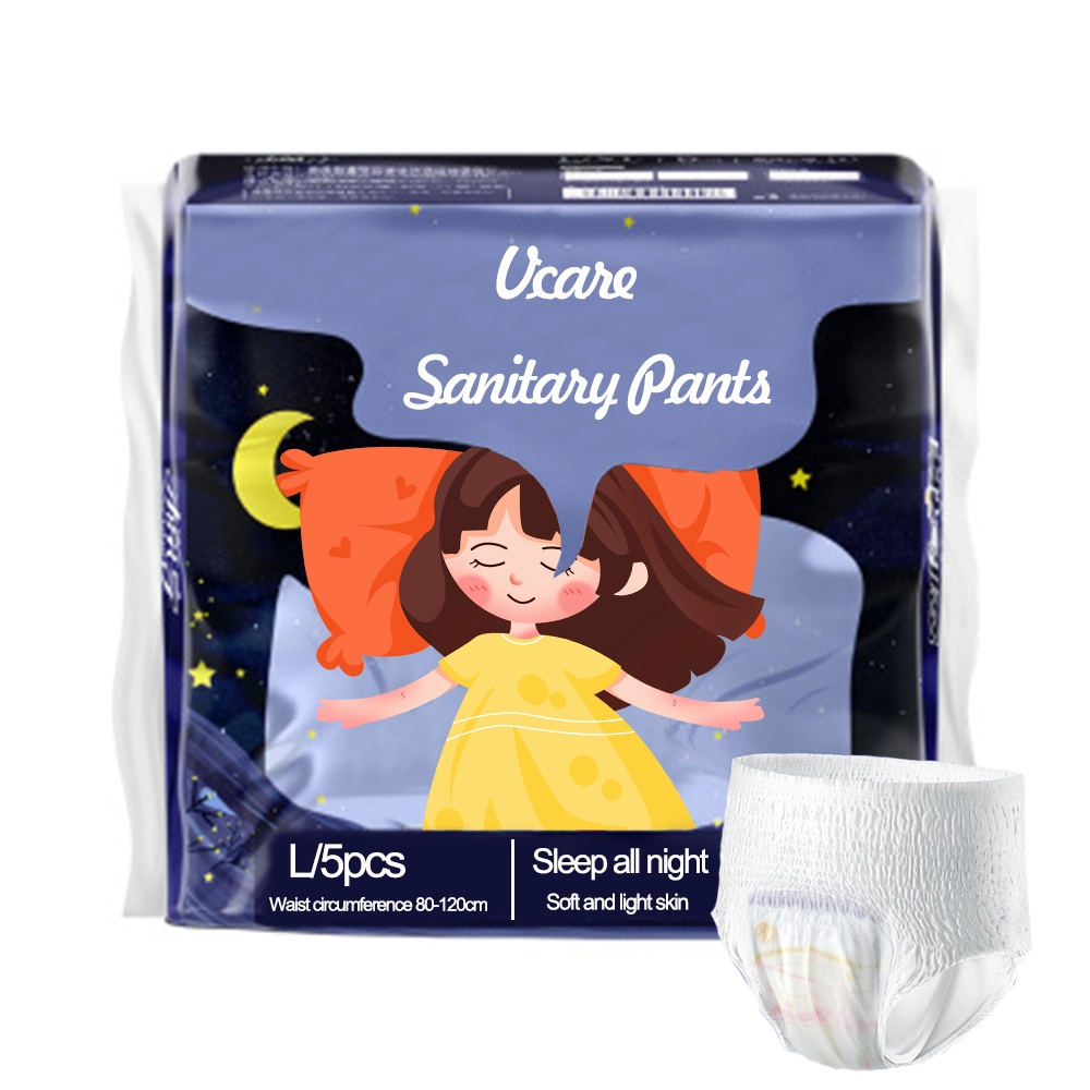 Overnight Sleepy Period Panties Menstrual, Organic Biodegradable Sanitary Pad Womens Panties 1