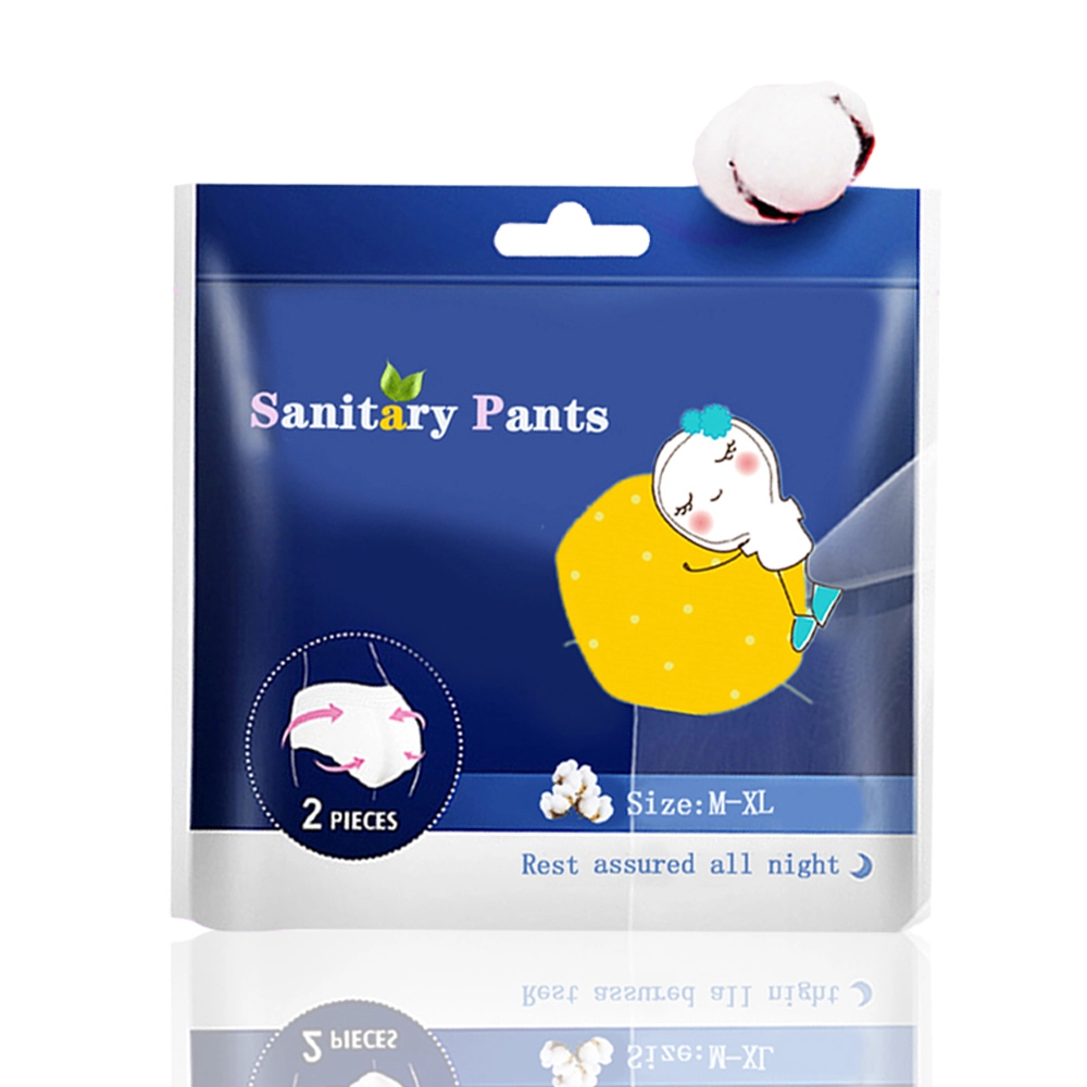 Wholesale Price Disposable Menstrual Period Panties, Custom Women's Sleep Warm Sexy Pants 1