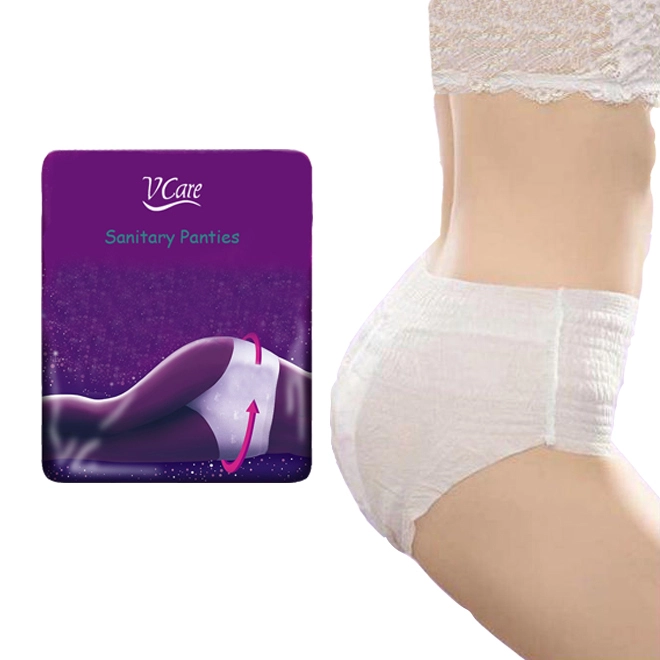 Adult Disposable Diaper Sexy Sanitary Napkin Period Panties Menstruation Pants For Women 1