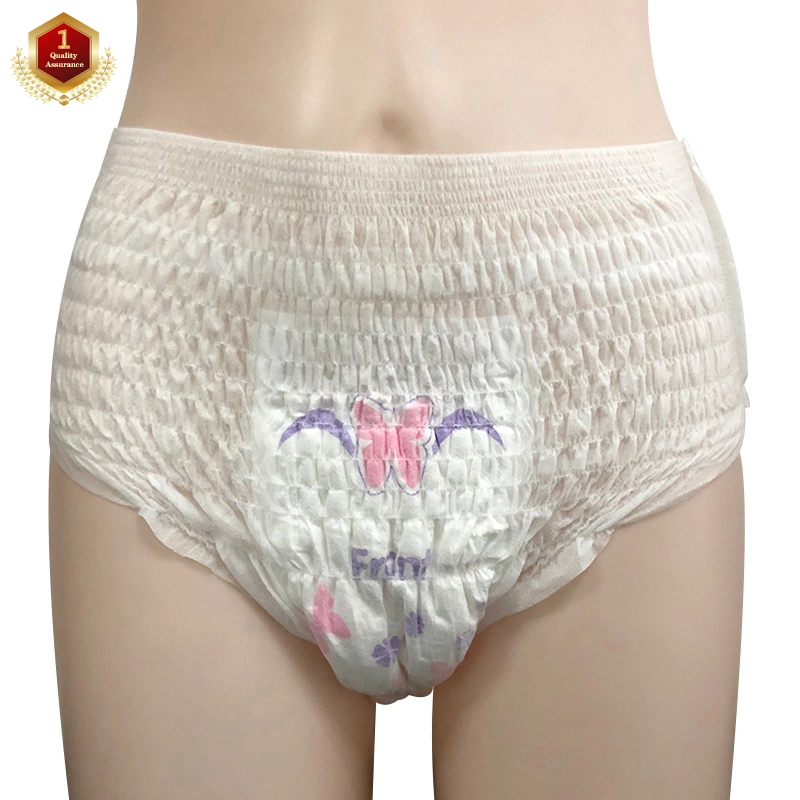 Biodegradable Adult Ladies Night Use Sanitary Napkin Pants With Underpad Comfort Sanitary Pad Period Pants 1
