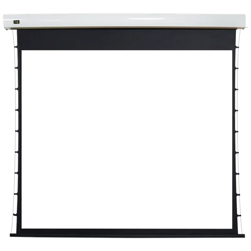 Enhance Your Business With Large Size Commercial Motorized Screens 1