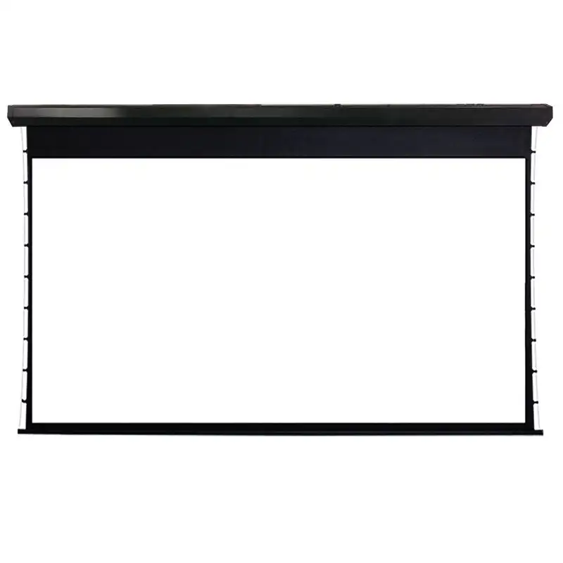Large Project Motorized Projection Screen LC2 Series 1