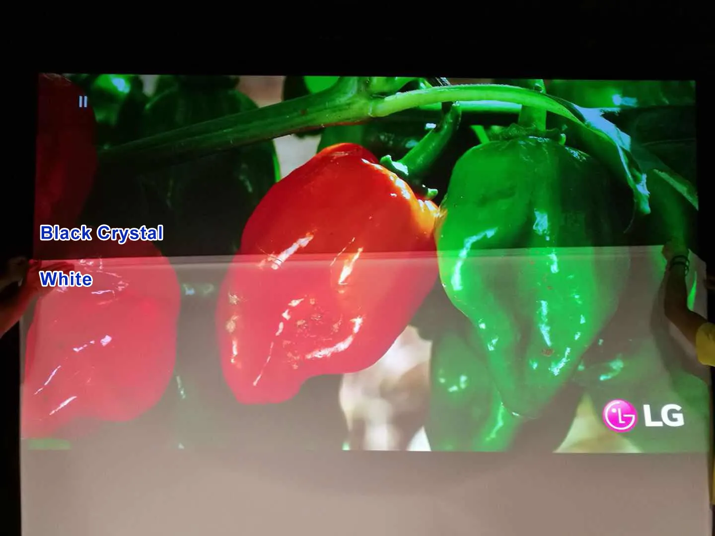 XY Screens easy installation best projector for ambient light personalized for household 3