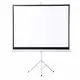 XY Screens portable tripod screen supplier for company 1