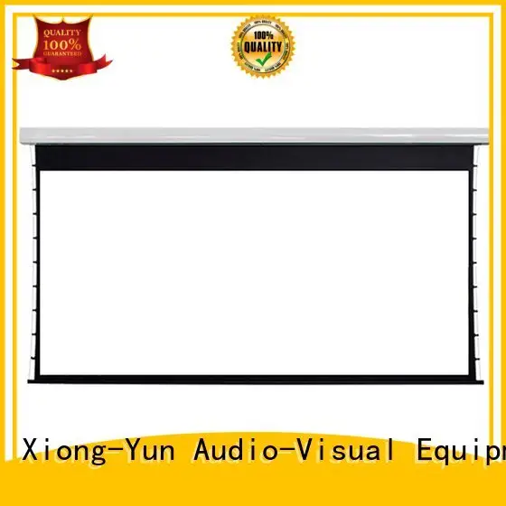 ec150 large portable projector screen XY Screens movie projector price 1