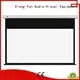 free standing projector screen motorized screen Standard motorized series 1
