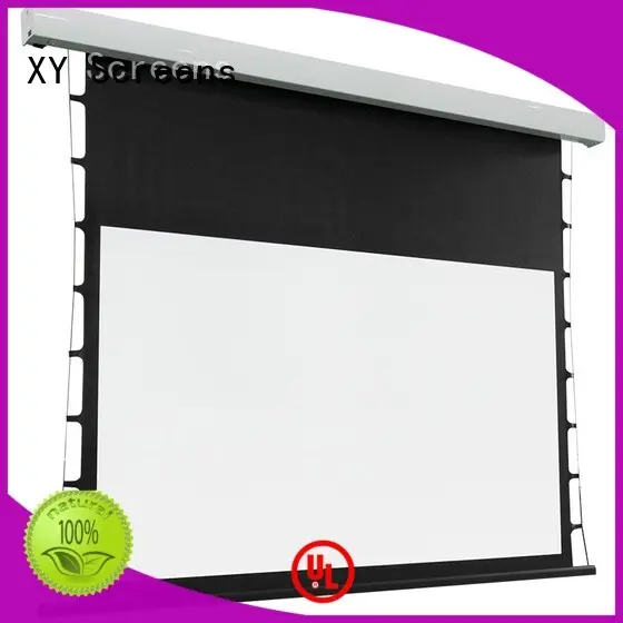 XY Screens tab tensioned projector screen personalized for household 1