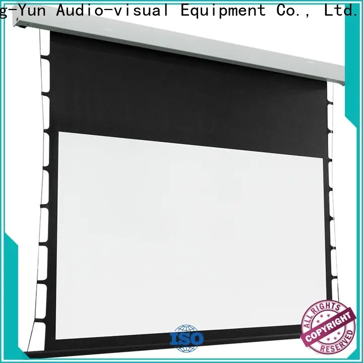XY Screens tensioned projector screen personalized for living room 1