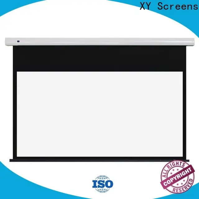 XY Screens theater screen inquire now for living room 1
