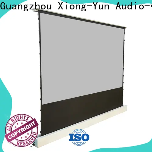electric floor rising screen inquire now for home 1